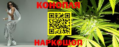 шишки Краснодар