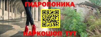 шишки Краснодар
