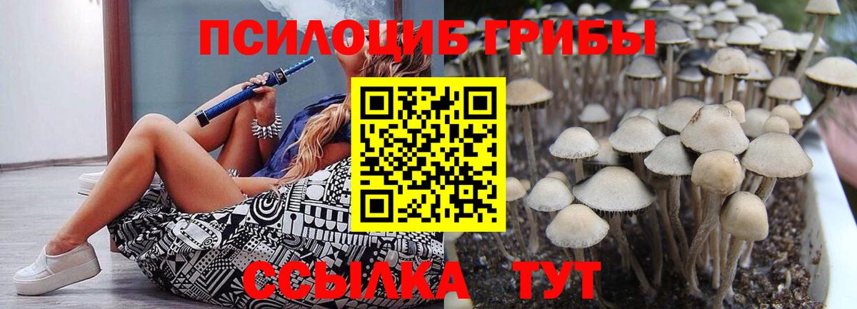 наркошоп  Галлюциногенные грибы ЛСД  Галлюциногенные грибы Cubensis  Вход с VPN  Жигулёвск 